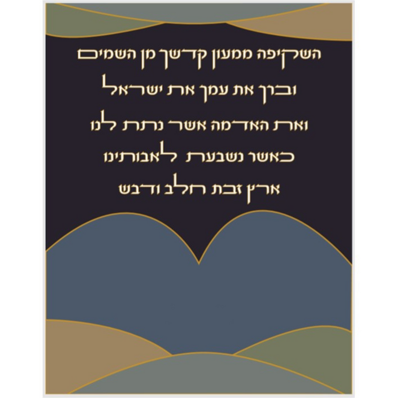 Parochet #8